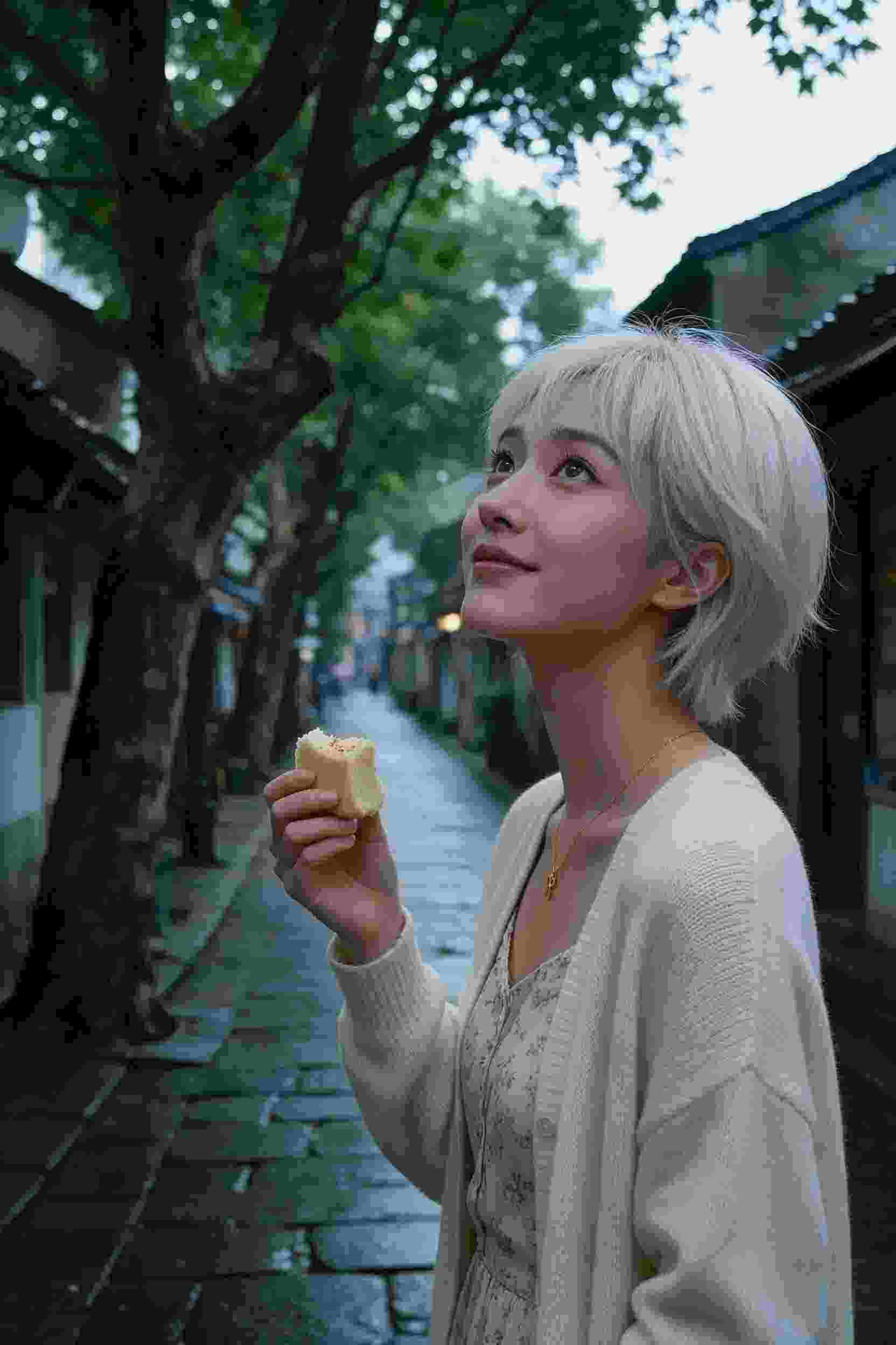 影视作品